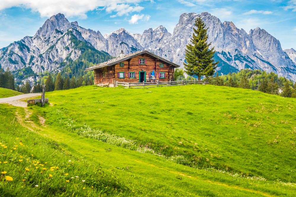 Capacità  portante di un ecosistema e gestione di una popolazione infestante